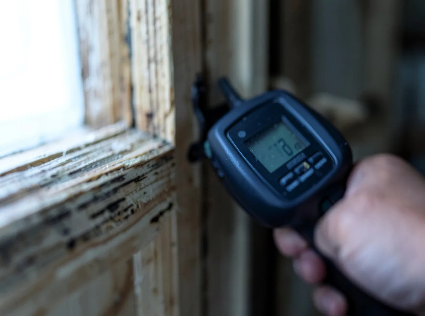 Moisture Inspection And Documentation in Meraux, LA